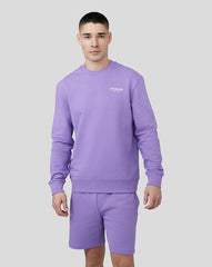 Dusty Lilac Upgrade Sweatshirt – Soft Sweatshirt for Casual & Active Wear